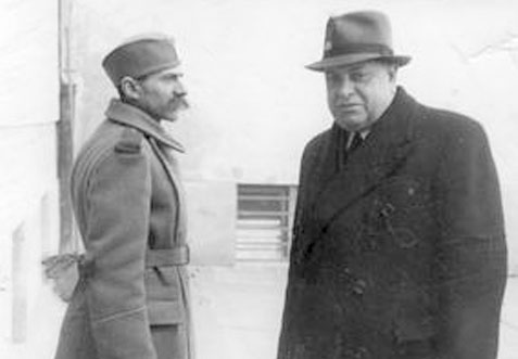 Спрема се жалба на решења о Недићу